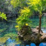 A la découverte du YUCATAN