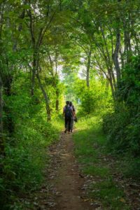 Deux randonneurs parcourant un sentier forestier serein entouré d'une verdure luxuriante pendant la journée.