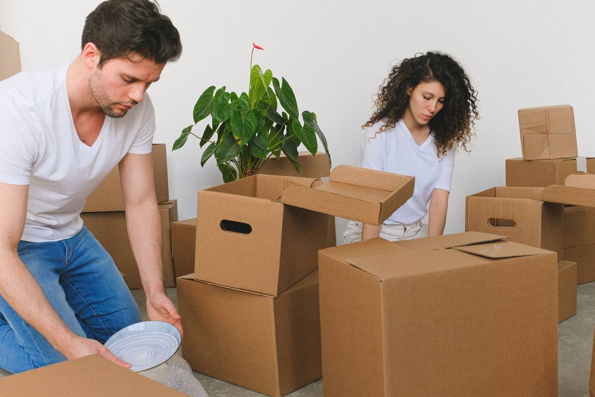 Couple avec cartons et plantes dans une pièce Couple avec cartons et plantes dans une pièce